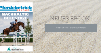 eBook: Nachhaltig befestigt mit Hübner-Lee