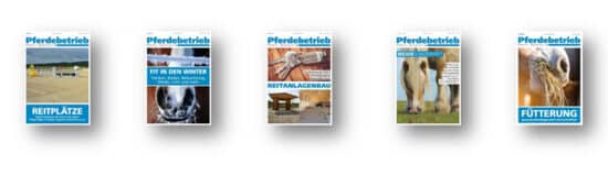 Profi-Paket II