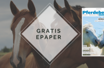 Gratis: Pferdebetrieb ePaper