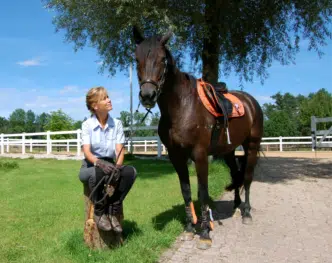 Referentin des Webinars "Pferde erfolgreich vermarkten" ist Martina Kratzer.