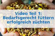 Video Teil 1: Bedarfsgerecht füttern – erfolgreich züchten bedarfsgerecht füttern - erfolgreich züchten