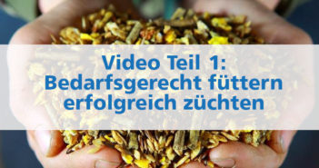 Video Teil 1: Bedarfsgerecht füttern – erfolgreich züchten bedarfsgerecht füttern - erfolgreich züchten