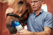 Equines Asthma: Inhalationstherapie für Pferde Inhalationstherapie für Equines Asthma - Equihaler