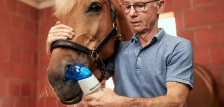 Inhalationstherapie für Equines Asthma - Equihaler