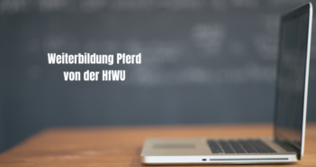 Weiterbildung Pferd –Fachwissen im Online-Seminarraum