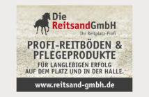 Die DS Reitsand GmbH