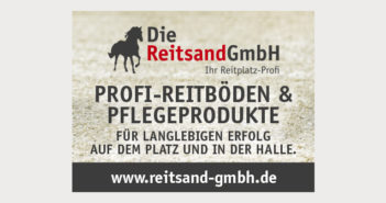 Die DS Reitsand GmbH