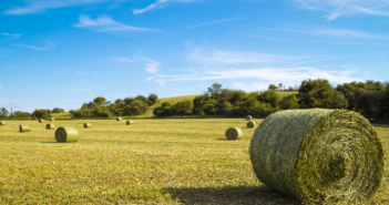 Schlechte Erntebilanz für 2020 – Heupreis Erntebilanz Heupreis