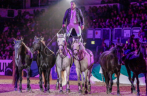 Faszination Pferd 2020 ohne Jubiläums-Gala-Show Lorenzo Gala Show Faszination Pferd