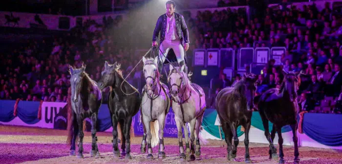 Lorenzo Gala Show Faszination Pferd