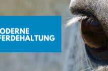 Moderne Pferdehaltung: artgerecht und arbeitswirtschaftlich Moderne Pferdehaltung