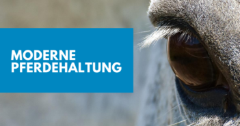 Moderne Pferdehaltung: artgerecht und arbeitswirtschaftlich Moderne Pferdehaltung
