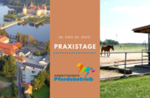 Praxistage bei Dresden Praxistage Dresden