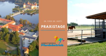 Praxistage bei Dresden Praxistage Dresden