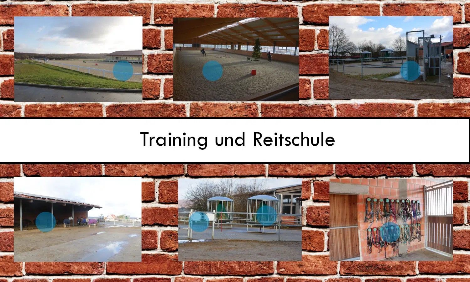 Training und Reitschule