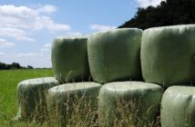 Raufutter: Zukauf und Alternativen