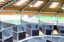 Rundstall von Kraft Neues Boxenkonzept für Kraft Rundstall