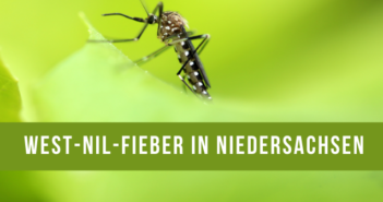 West-Nil-Fieber erstmals in Niedersachsen nachgewiesen West-Nil-Fieber bei Pferd in Niedersachsen