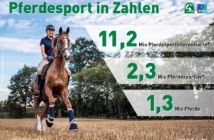 Neue Ipsos-Studie: Reitsport und Pferdehaltung in Zahlen Ipsos-Studie Zahlen Pferdehaltung