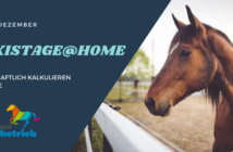 Praxistage@Home: Wirtschaftlich Kalkulieren