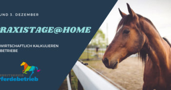 Praxistage@Home: Wirtschaftlich Kalkulieren