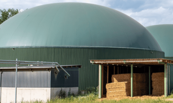 Pferdemist für Biogasanlage
