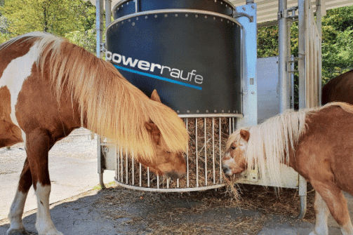 Heuraufe Ponys