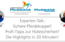 Profi-Tipps zur Hütesicherheit (20 Minuten)