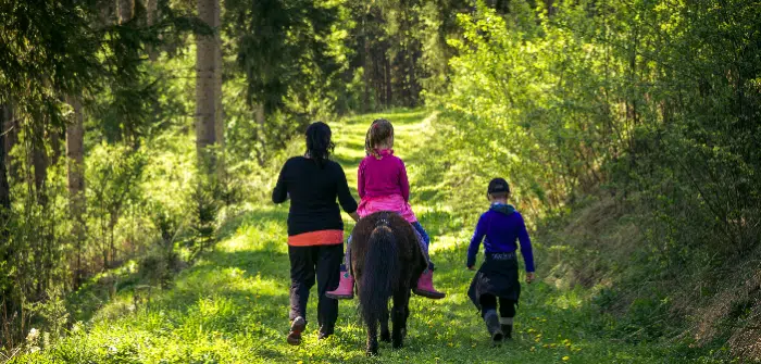 Tierhalterhaftung Ponyreiten