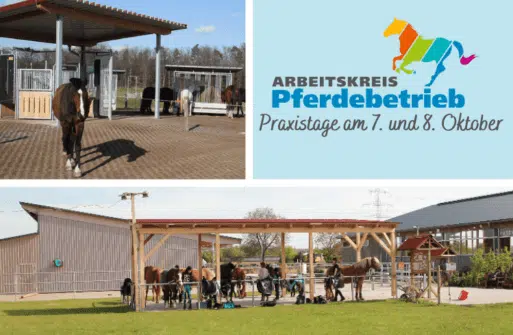 Arbeitskreis Pferdebetrieb Praxistage