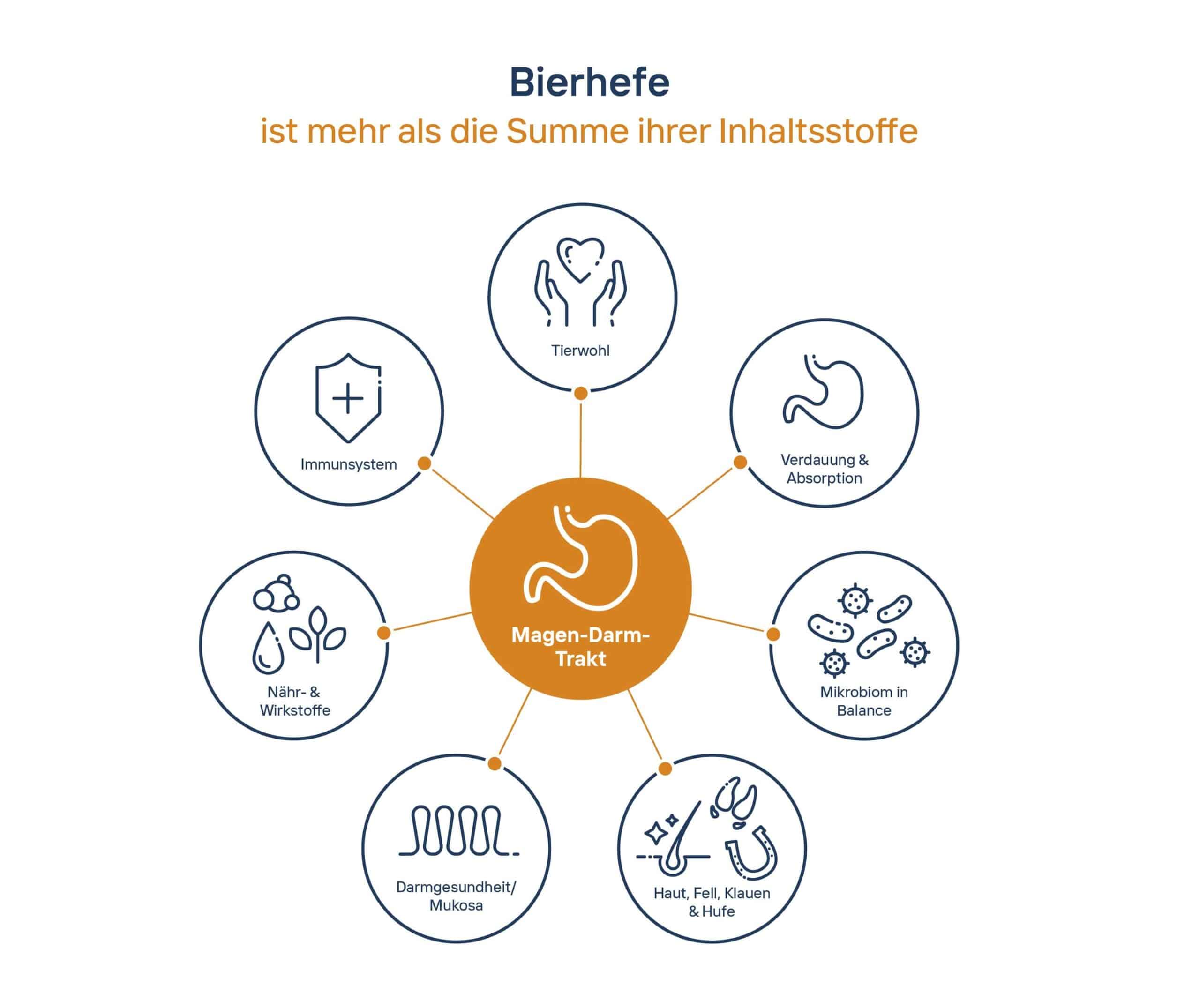 Grafik: Bierhefe ist mehr als die Summe ihrer Inhaltsstoffe