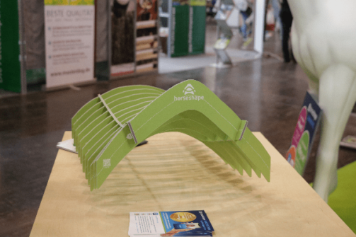 Horseshape 3-D-Scan