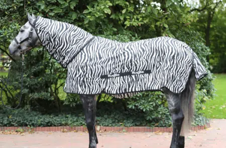 Die Zebradecke von Covalliero