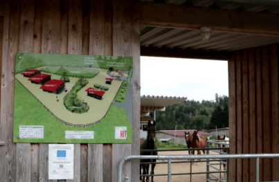 Aktivstallhaltung auf dem Pferdehof Luppmanns