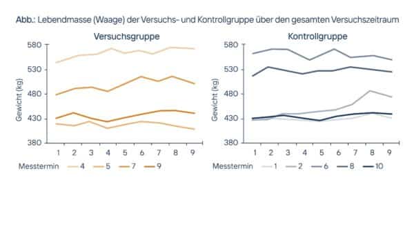 Lebendmasse (Waage) der Versuchs- und Kontrollgruppe über den gesamten Versuchszeitraum