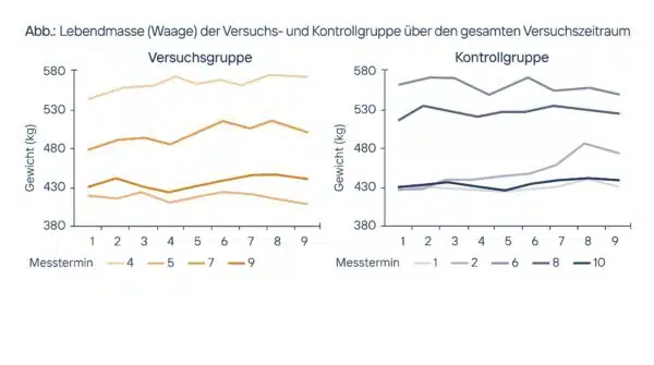 Lebendmasse (Waage) der Versuchs- und Kontrollgruppe über den gesamten Versuchszeitraum