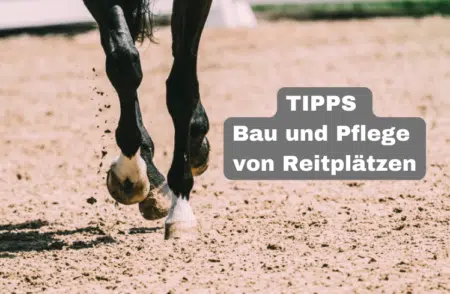 Tipps Bau und Pflege von Reitplätzen