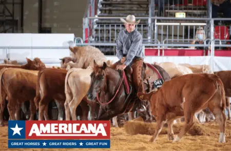 Messe AMERICANA in Friedrichshafen