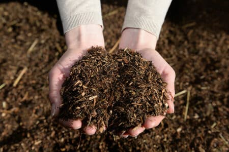 Bio Waldboden Pferdeeinstreu