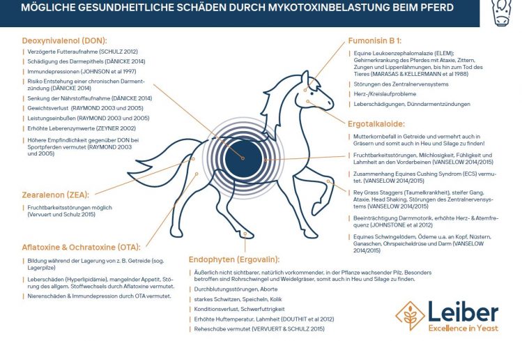 Mykotoxinübersicht Abb. 1: Überblick der häufigsten Mykotoxine, Alkaloide und Endophyten und deren Schadwirkungen beim Pferd. Literatur auf Anfrage beim Autor erhältlich!