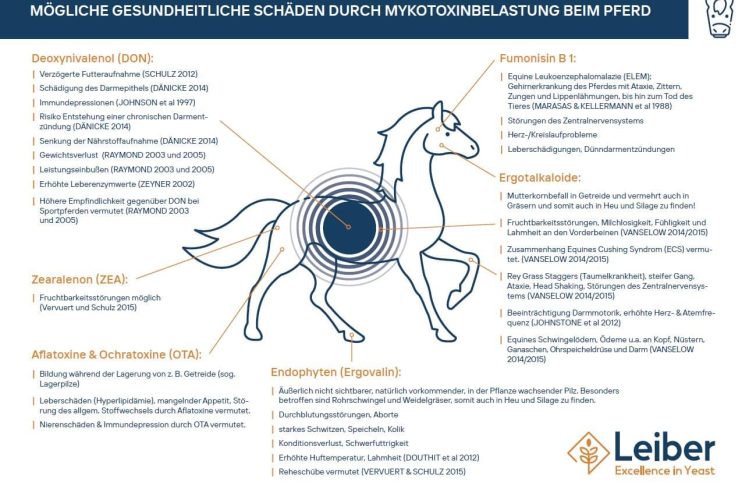 Mykotoxinübersicht Abb. 1: Überblick der häufigsten Mykotoxine, Alkaloide und Endophyten und deren Schadwirkungen beim Pferd. Literatur auf Anfrage beim Autor erhältlich!